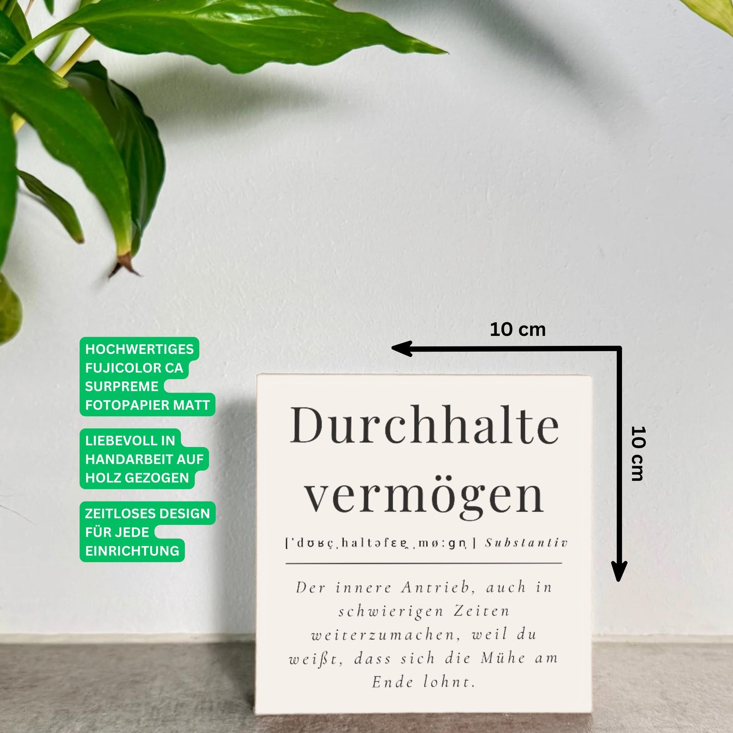 Motivations Spruch Büro – Durchhaltevermögen – Schreibtisch Deko Motivation – kleines Geschenk Kollegin – inspirierendes Holzschild
