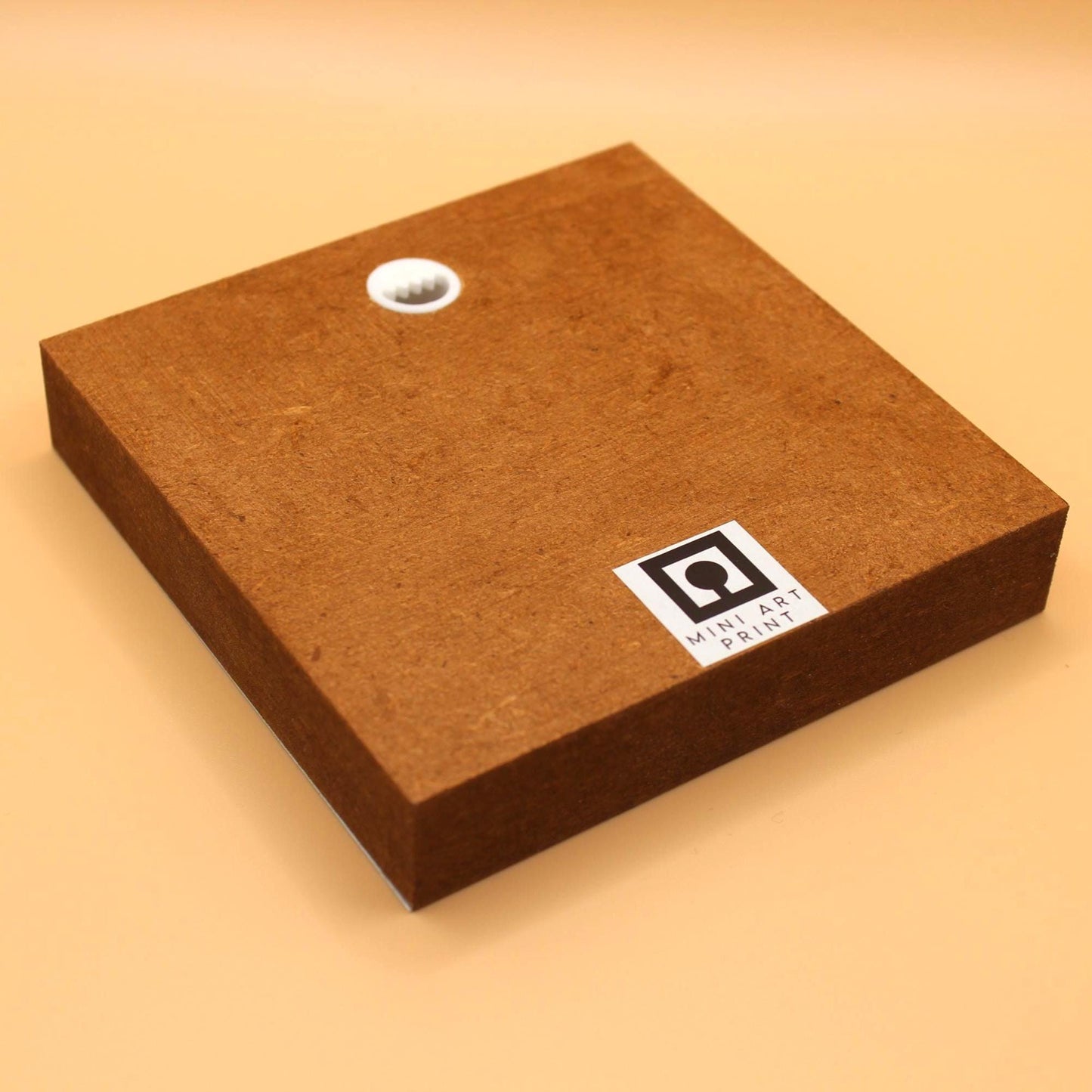 Im Norden sagt man MOIN Holzbild – Lustiges Geschenk Norddeutsch – Mini Holzschild 10x10 cm – Schreibtisch Deko – Humor Spruch