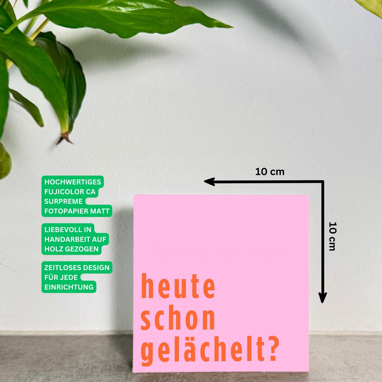 Kleines Geschenk Freundin – Heute schon gelächelt – lustiger Spruch Deko – Gute Laune Holzschild