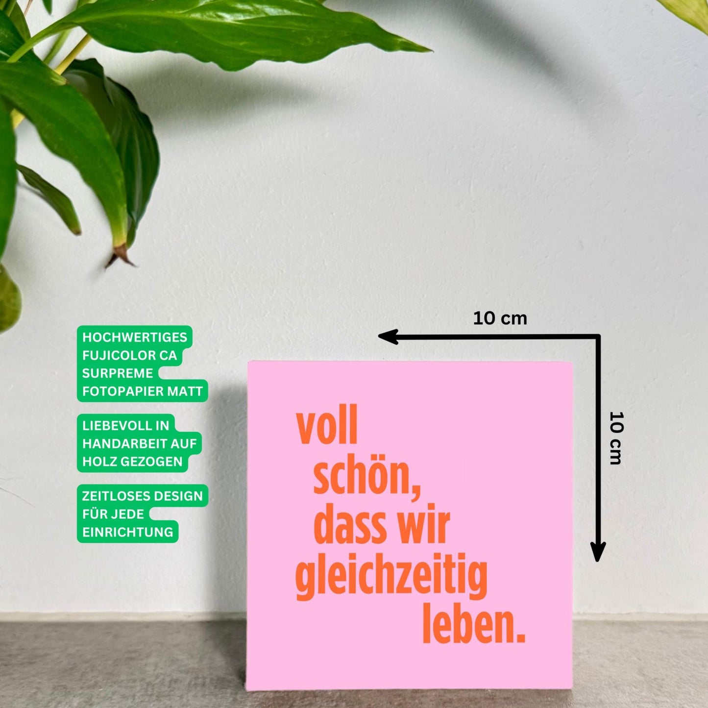 Voll schön, dass wir gleichzeitig leben Holzbild – 10x10 cm Mini Art Print – Liebevolle Spruch Deko Geschenk für Lieblingsmensch